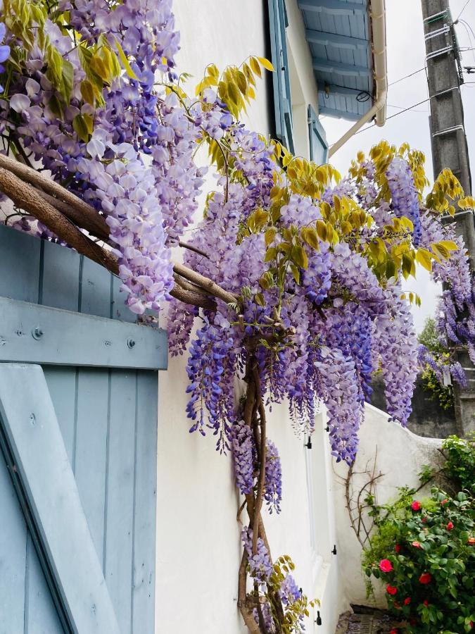 CarresseLa Poterie住宿加早餐旅馆 外观 照片